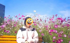 免费万古神帝张若尘完本